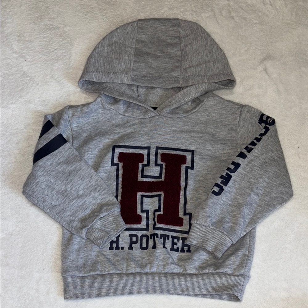 Gray H. Potter Kids 3T Hoodie sweatshirt pullover